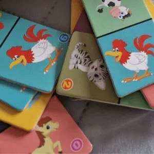 Ricevuto Set di Domino di Animali in Legno dal cliente M****z.
