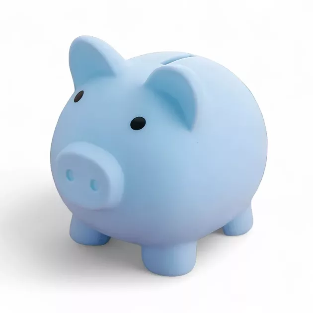 salvadanaio, scatola per risparmiare denaro, scatola per conservare il denaro