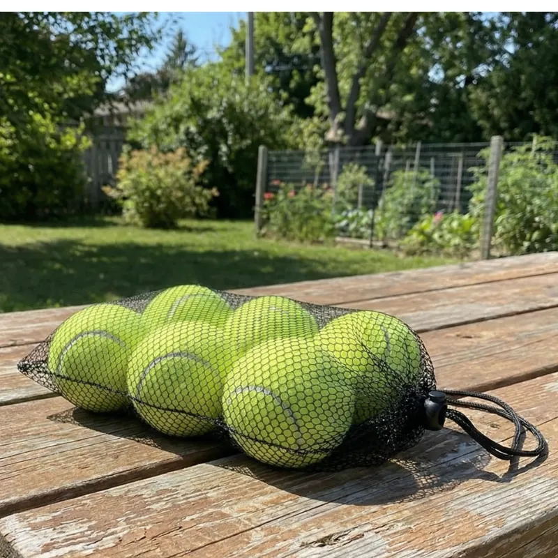 Set di 6 Palline da Tennis con Borsa in Rete